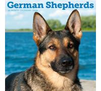 Carousel Calendars, German Shepherds 2026 Wall Calendar, 12'' X 12'', 16-Month Calendar with Stapled Binding