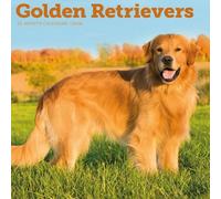 Carousel Calendars, Golden Retrievers 2026 Wall Calendar, 12'' X 12'', 16-Month Calendar with Stapled Binding