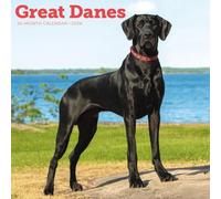 Carousel Calendars, Great Danes 2026 Wall Calendar, 12'' X 12'', 16-Month Calendar with Stapled Binding