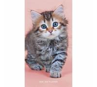 Carousel Calendars Kittens Slim Diary 2026-2027, General Diaries, Month To View, Cats, Gift