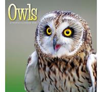 Carousel Calendars, Owls 2026 Wall Calendar, 12'' X 12'', 16-Month Calendar with Stapled Binding