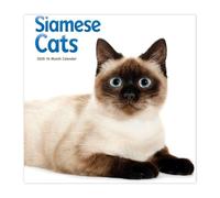 Carousel Calendars, Siamese Cats 2026 Wall Calendar, 12'' X 12'', 16-Month Calendar with Stapled Binding