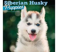 Carousel Calendars, Siberian Husky Puppies 2026 Wall Calendar, 12'' X 12'', 16-Month Calendar with Stapled Binding
