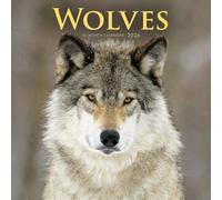 Carousel Calendars, Wolves Special Value 2026 Wall Calendar, 12'' X 12'', 16-Month Calendar with Stapled Binding