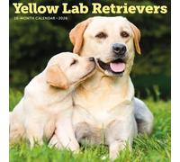 Carousel Calendars, Yellow Labs 2026 Wall Calendar, 12'' X 12'', 16-Month Calendar with Stapled Binding