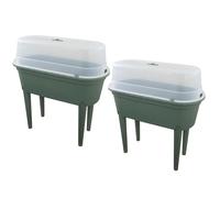 Carousel Home Set of 2 Green Mini Greenhouse Raised Planters with Cover, 84cm High Garden Grow Tables Indoor Outdoor Veg Planters