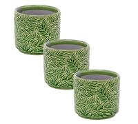 Carousel Home Set of 3 Mini Green Willow Stoneware Plant Pots, 7cm Small Ceramic Planters Cachepots for Succulents, Herbs and Indoor Plants
