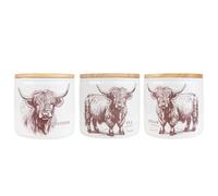 Carousel Home Set of 3 Tea Coffee Sugar Canisters | 12cm Highland Cow Tea Coffee Sugar Storage Jars | Airtight Kitchen Canisters