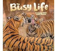 Carousel Worldwide 2027 Busy Life Wall Planner, Month to View