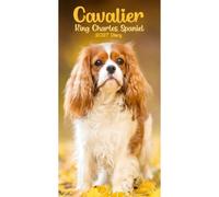 Carousel Worldwide 2027 Cavalier King Charles Spaniels Diary, Slim Week to View