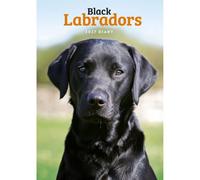 Carousel Worldwide 2027 Labrador Retrievers (Black) Diary, A5 Week to View Planner, Wire-O