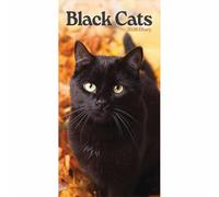 Carousel Worldwide, Black Cats 2026 Slim Diary Planner