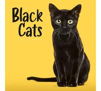 Carousel Worldwide Black Cats 2027 Square Wall Calendar, 12-Month Calendar, Striking Cat Photography: Original Carousel-Kalender [Mehrsprachig] [Kalender]