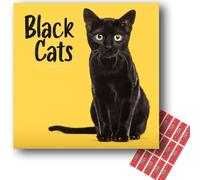 Carousel Worldwide Black Cats 2027 Square Wall Calendar with Planning Stickers, 12-Month Planner (Jan-Dec 2027), Black Cat & Kitten Photography, Organiser for Home, Office, 30.5 x 30.7 cm