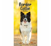 Carousel Worldwide, Border Collies 2026 Slim Diary Planner