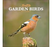 Carousel Worldwide, British Garden Birds 2026 Mini Wall Calendar