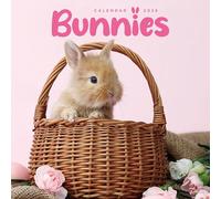 Carousel worldwide, Bunnies 2026 Mini Wall Calendar