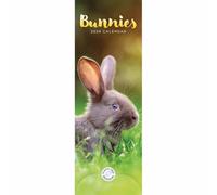 Carousel Worldwide, Bunnies 2026 Slim Wall Calendar