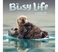 Carousel Worldwide, Busy Life 2026 Wall Planner