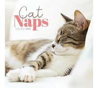 Carousel Worldwide, Cat Naps 2026 Mini Wall Calendar