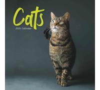 Carousel Worldwide, Cats 2026 Wire-o Wall Calendar