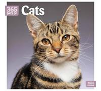 Carousel Worldwide, Cats 365 Days 2026 Square Wall Calendar