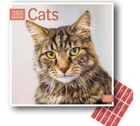 Carousel Worldwide Cats 365 Days 2027 Square Wall Calendar with Planning Stickers, 12-Month Planner (Jan-Dec 2027), Daily Cat & Kitten Photography, Organiser for Home, Office, 30.5 x 30.7 cm
