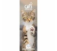 Carousel Worldwide, Cats Protection 2026 Slim Wall Calendar