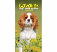 Carousel Worldwide, Cavalier King Charles Spaniels 2026 Slim Diary Planner