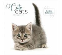 Carousel Worldwide, Cute Cats 2026 Square Wall Calendar