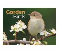Carousel Worldwide, Garden Birds 2026 A4 Wall Calendar