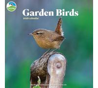 Carousel Worldwide, Garden Birds 2026 Square Wall Calendar