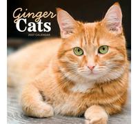 Carousel Worldwide Ginger Cats 2027 Square Wall Calendar, 12-Month Calendar, Charming Cat Photography: Original Carousel-Kalender [Mehrsprachig] [Kalender]