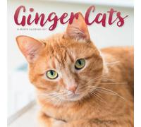 Carousel Worldwide Ginger Cats SS 2027 Square Wall Calendar - 16-Month Calendar, Orange Tabby Cat Photography, Monthly Square Wall Calendar, 12″ × 12″, Gift