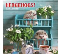 Carousel Worldwide, Hedgehogs! 2026 Square Wall Calendar