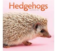 Carousel Worldwide Hedgehogs 2027 Square Wall Calendar, 12-Month Calendar, Cute Hedgehog Photography