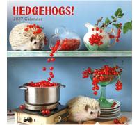Carousel Worldwide Hedgehogs! 2027 Square Wall Calendar, 12-Month Calendar, Playful Hedgehog Images
