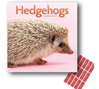 Carousel Worldwide Hedgehogs 2027 Square Wall Calendar with Planning Stickers, 12-Month Planner (Jan-Dec 2027), Hedgehog & British Wildlife Photography, Organiser for Home, Office, 30.5 x 30.7 cm