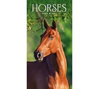 Carousel Worldwide, Horses 2026 Slim Diary Planner