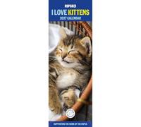 Carousel Worldwide I Love Kittens 2027 Slim Wall Calendar, 12-Month Calendar, Cute Kitten Photography
