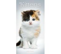 Carousel Worldwide, Kittens 2026 Slim Diary Planner