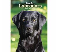 Carousel Worldwide, Labrador Retrievers Black 2026 A5 Diary