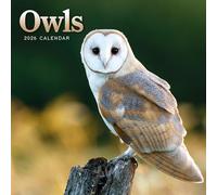 Carousel worldwide, Owls 2026 Mini Wall Calendar
