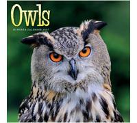 Carousel Worldwide Owls 2027 Square Wall Calendar - 16-Month Calendar, Striking Owl Photography, Monthly Square Wall Calendar, 12″ × 12″, Gift