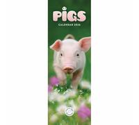 Carousel Worldwide, Pigs 2026 Slim Wall Calendar