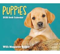 Carousel Worldwide, Puppies 2026 Mini Box Desk Calendar