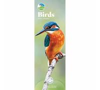 Carousel Worldwide, RSPB Birds 2026 Slim Wall Calendar
