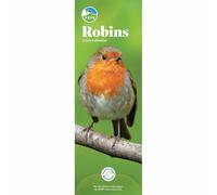 Carousel Worldwide, RSPB Robins 2026 Slim Wall Calendar