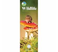 Carousel Worldwide, RSPB Wildlife 2026 Slim Wall Calendar