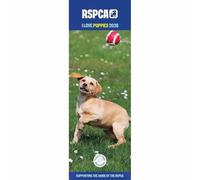 Carousel Worldwide, RSPCA I Love Puppies 2026 Slim Wall Calendar